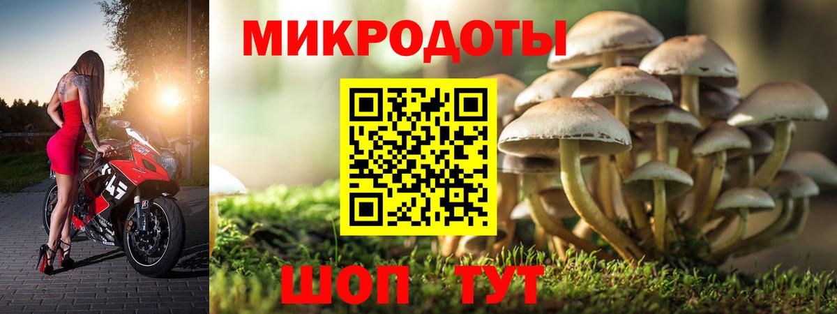 Псилоцибиновые грибы Cubensis  Вход с VPN  Псилоцибиновые грибы GOLDEN TEACHER  Еманжелинск 